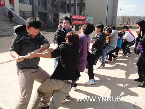 財務管理學院楊林校區舉行拔河比賽