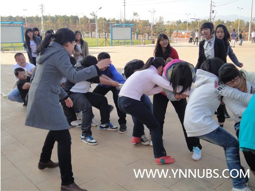 財務管理學院楊林校區舉行拔河比賽