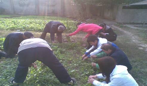 DģʮӛԒL(zhng)ഺ־ԸСӛչI(y)W(xu)̌W(xu)Ժ־Ը߷(w)(du)ʮ