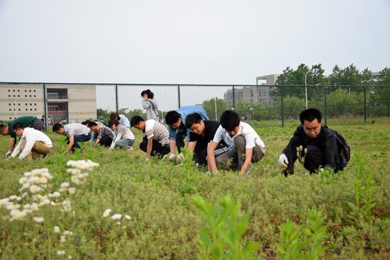 營造更加美好的校園環境——師生共同開展“除草護綠、美化校園”義務除草活動