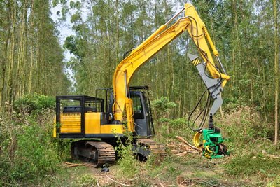 WԺcRCеаlaƷMЌԇ