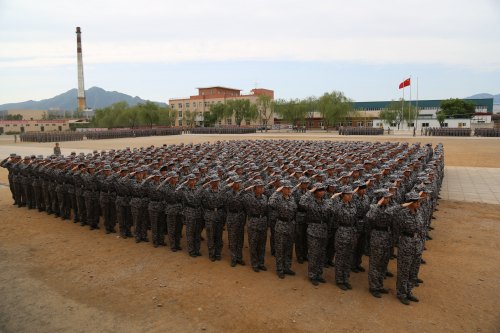 ܊Ӗ[ƪ]펽^đʿҪ