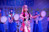 中央民族歌舞團(tuán)“請(qǐng)你跟我一起來”大型民族歌舞晚會(huì)劇照