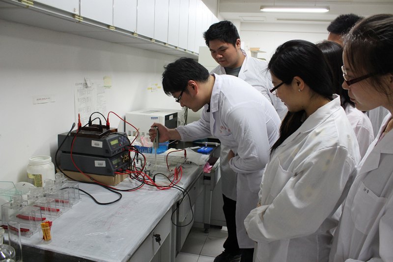 【青春在閃光】“跨界”科技協同創新,點亮青年綠色紡織夢——東華大學學子跨專業共組合作團隊 積極推進麻類纖維生物脫膠技術研究