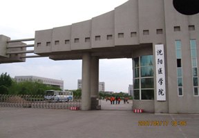 廣西中醫(yī)學(xué)院賽恩斯新醫(yī)藥學(xué)院圖片