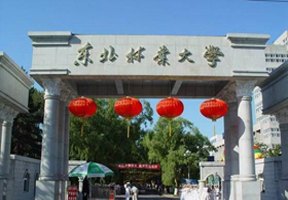 東北農(nóng)業(yè)大學(xué)成棟學(xué)院圖片