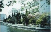 上海科學技術職業學院圖片