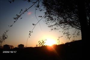 山東外事翻譯職業學院圖片