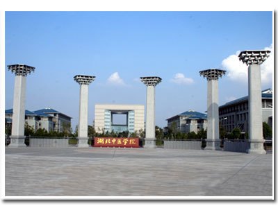 湖北中醫藥大學圖片