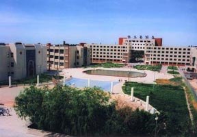 石河子大學(xué)圖片