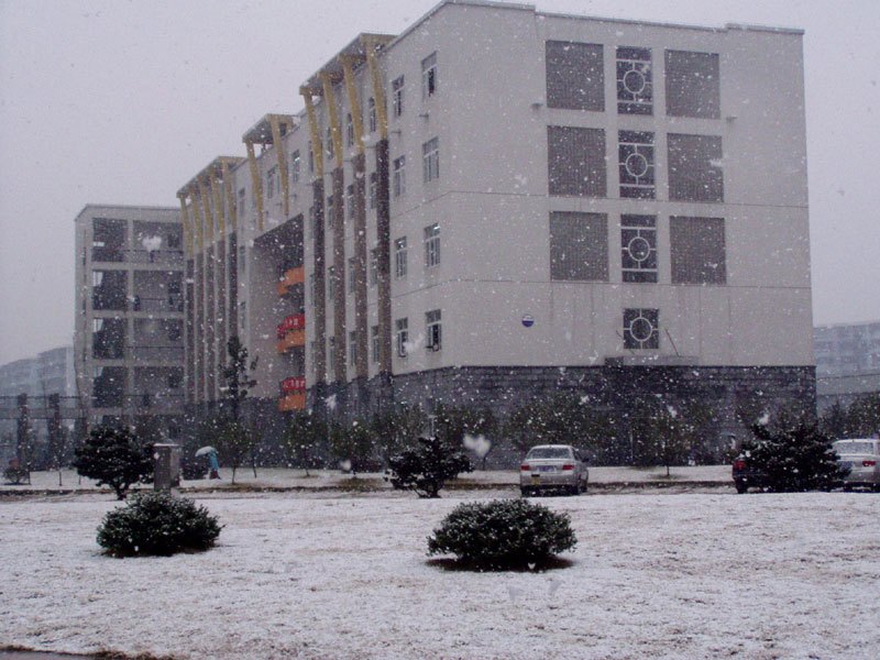 寧波工程學院圖片